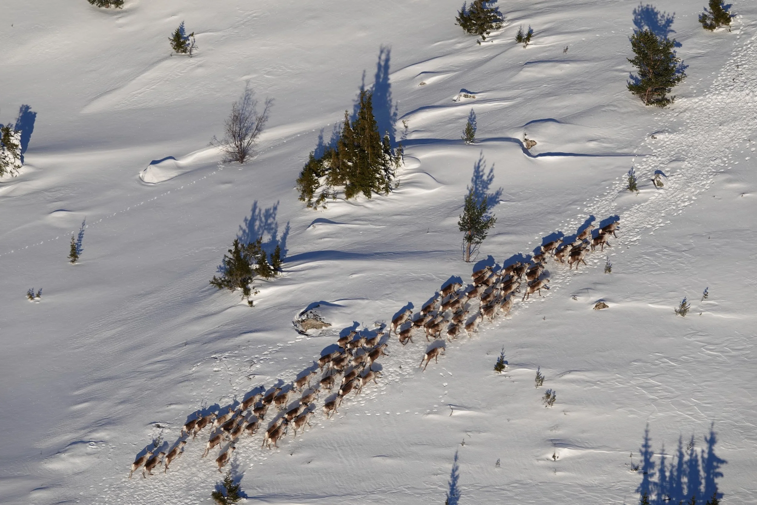 Minimumstelling 2024