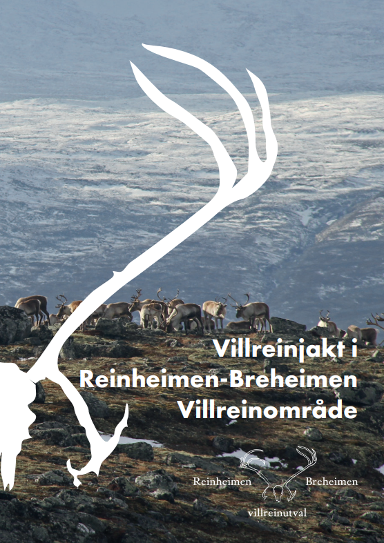 Informasjon om villreinjakta 2026