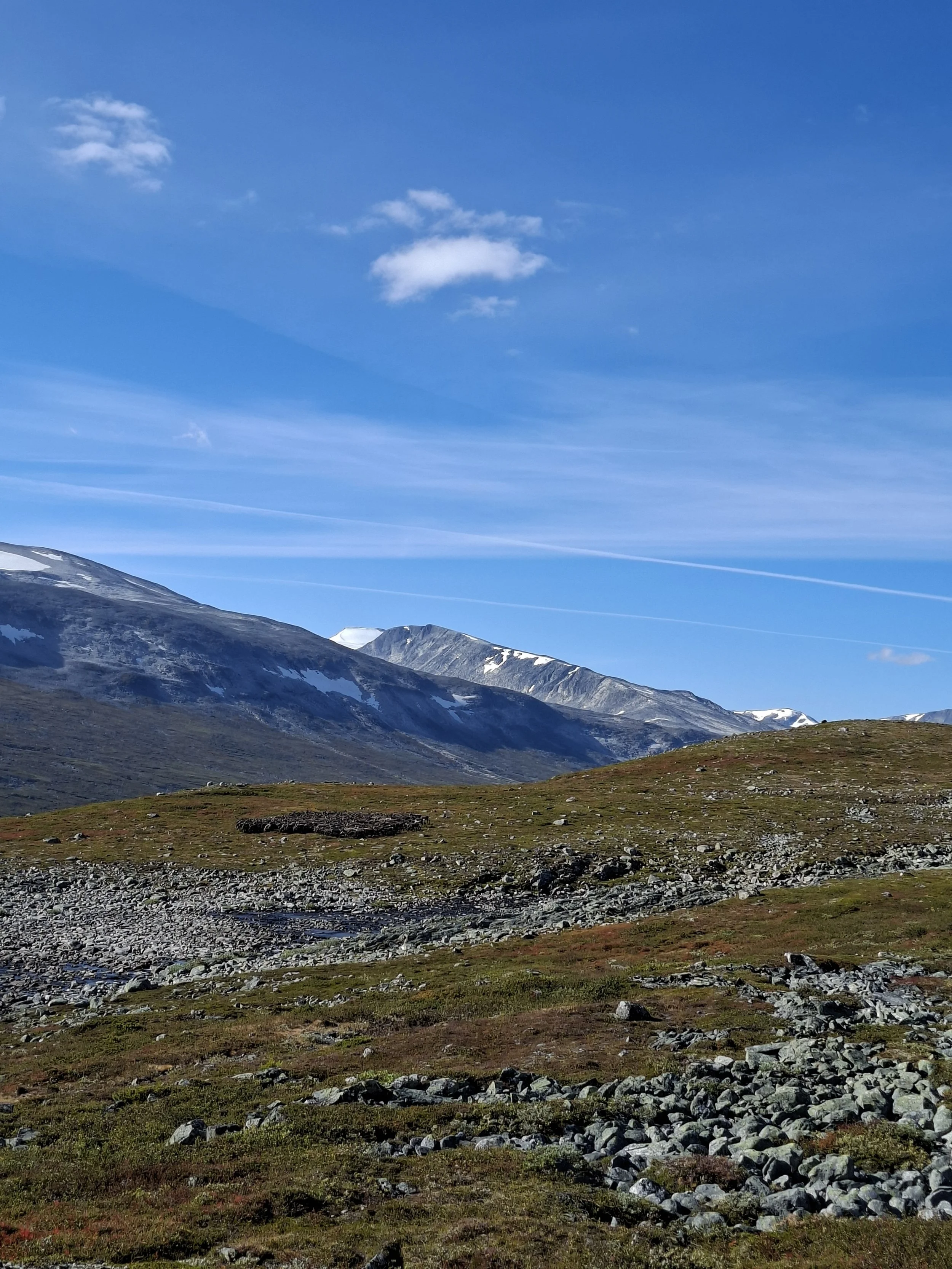 Jaktinformasjon 28.august