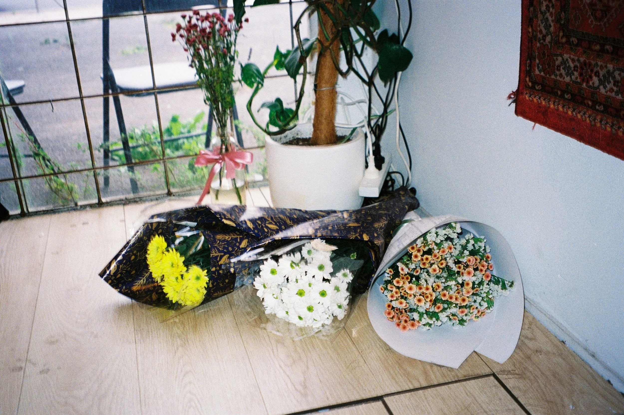 Photograph by Ayah Zakout