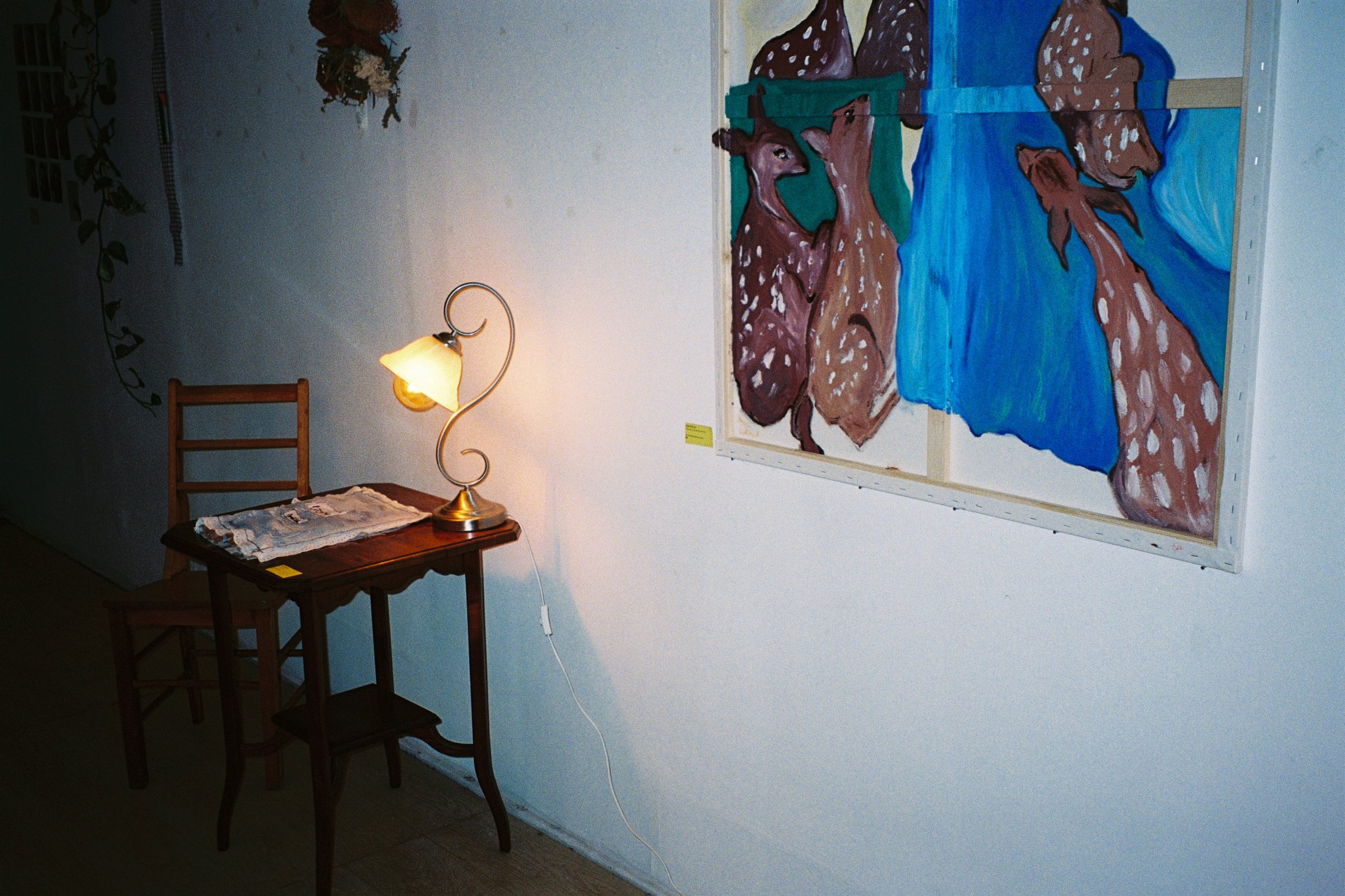 Photograph by Ayah Zakout