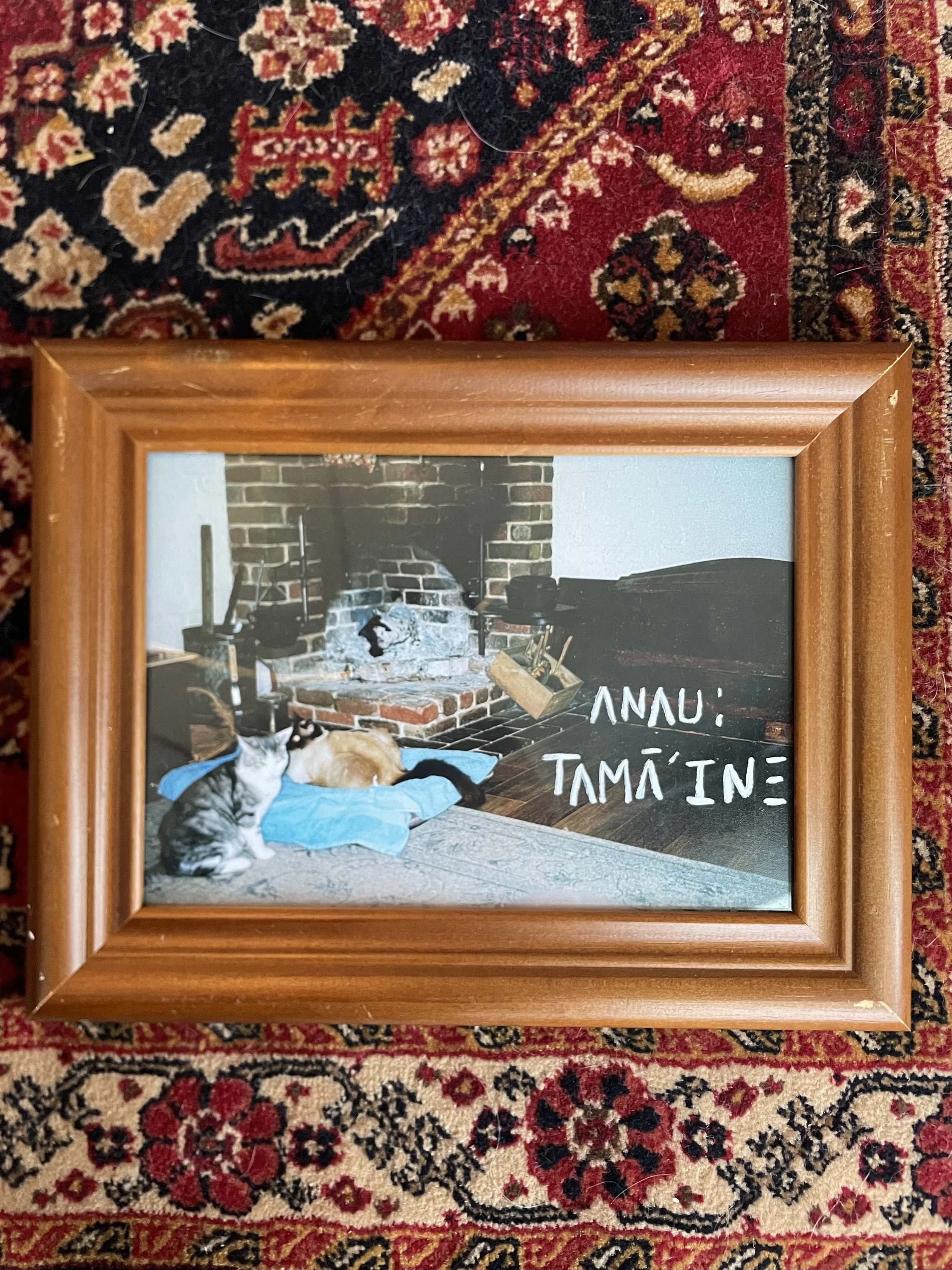 Anau (love is all around me), 2025, photo prints and ink