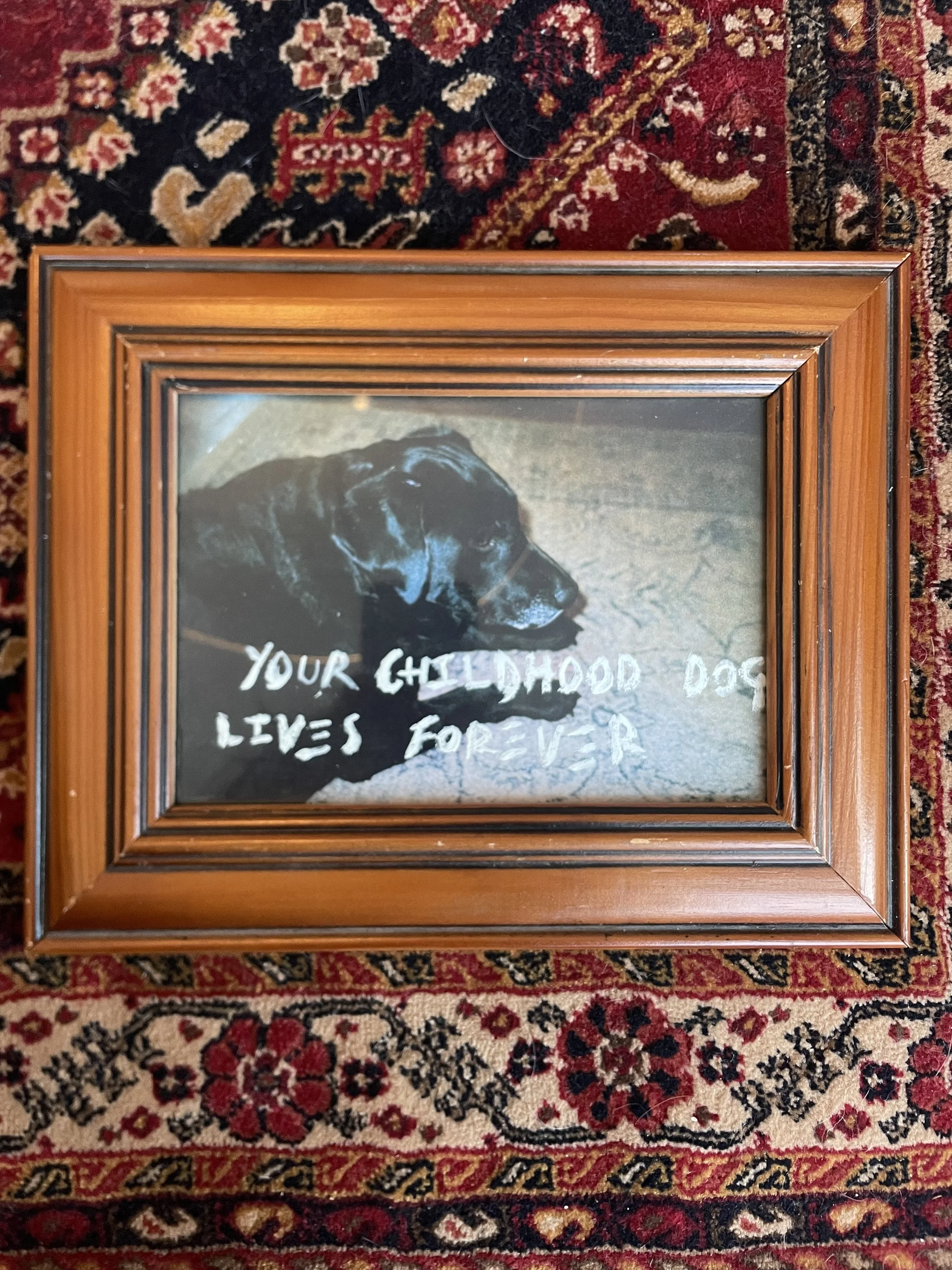 Anau (love is all around me), 2025, photo prints and ink