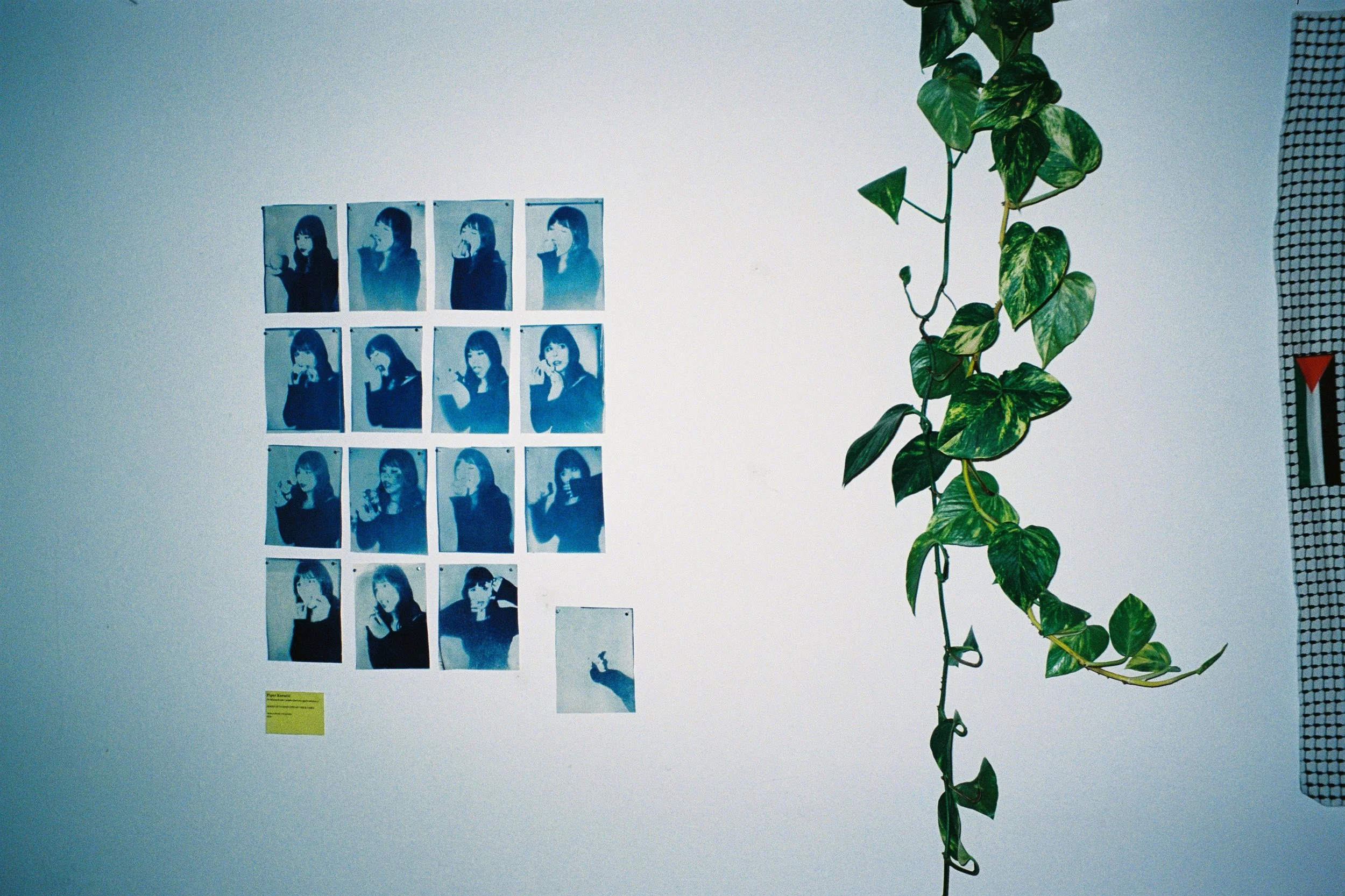 Photograph by Ayah Zakout