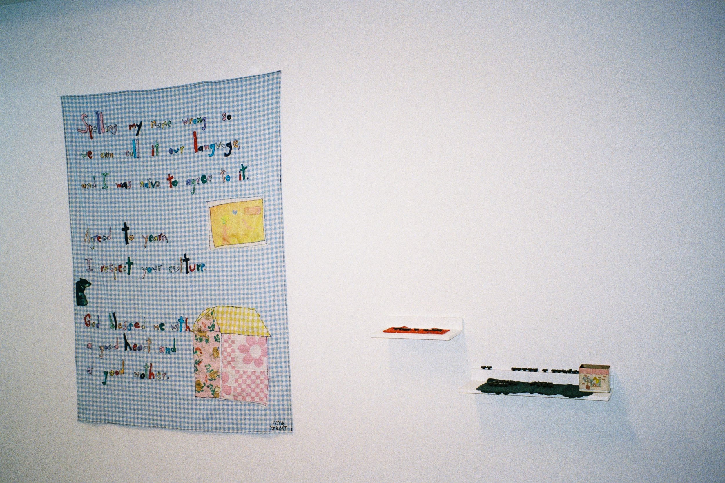 Anau, Kings Artist-Run, 2025