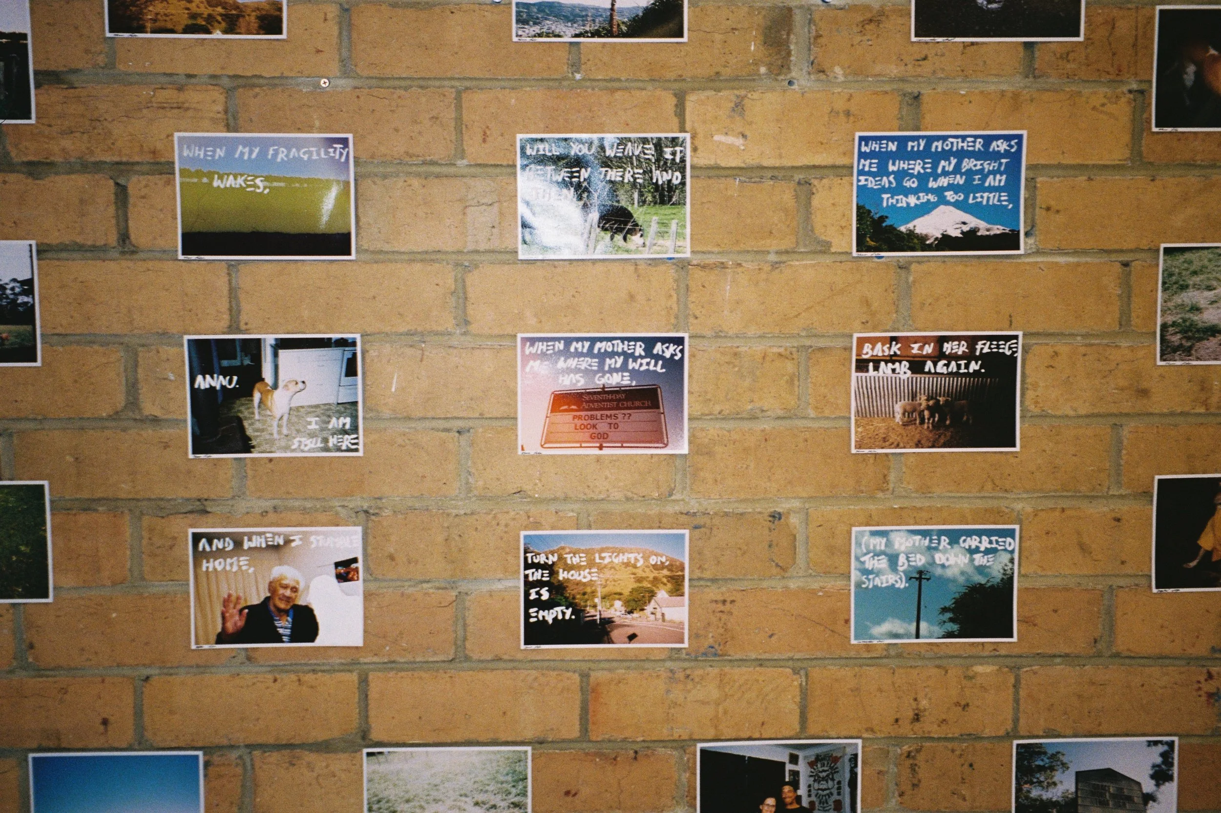 Anau, 2025, ink and inkjet photographs