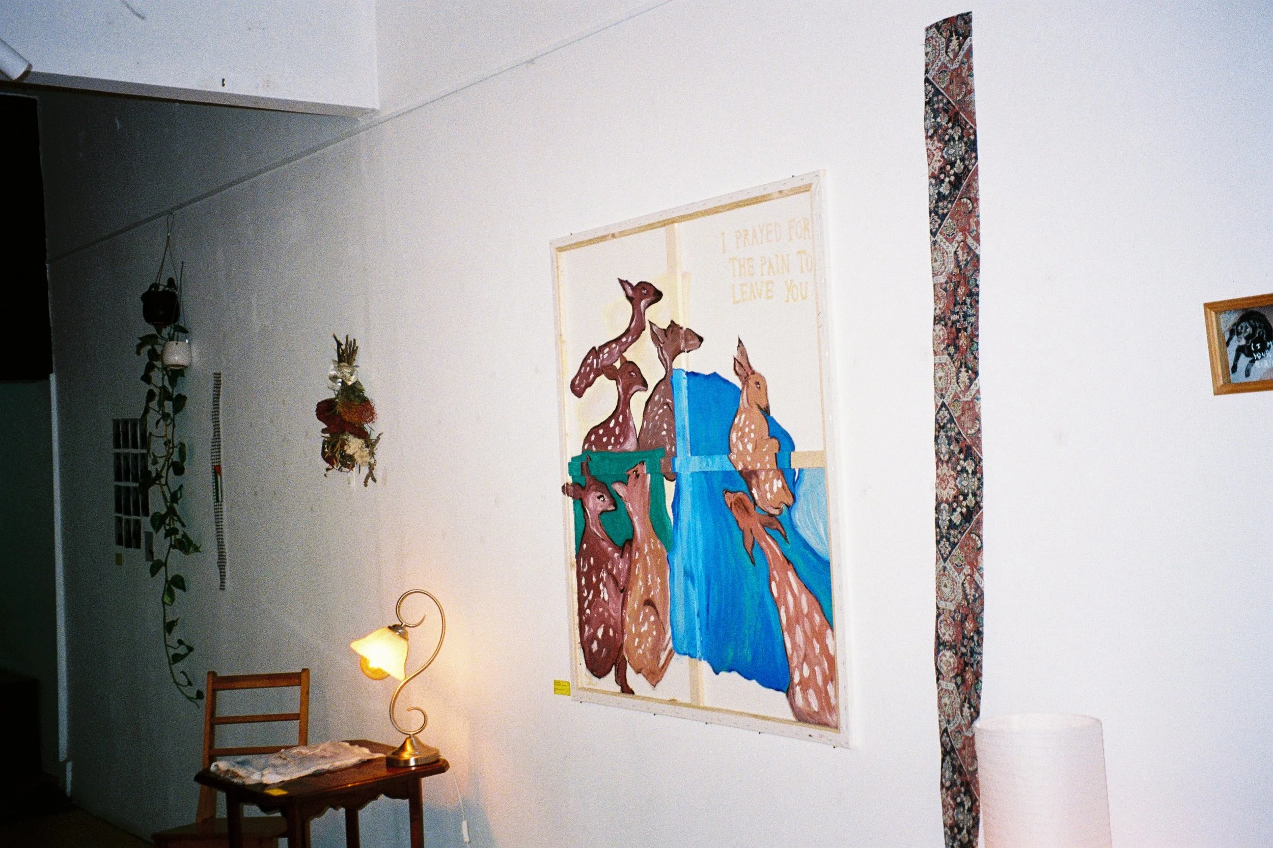 Photograph by Ayah Zakout