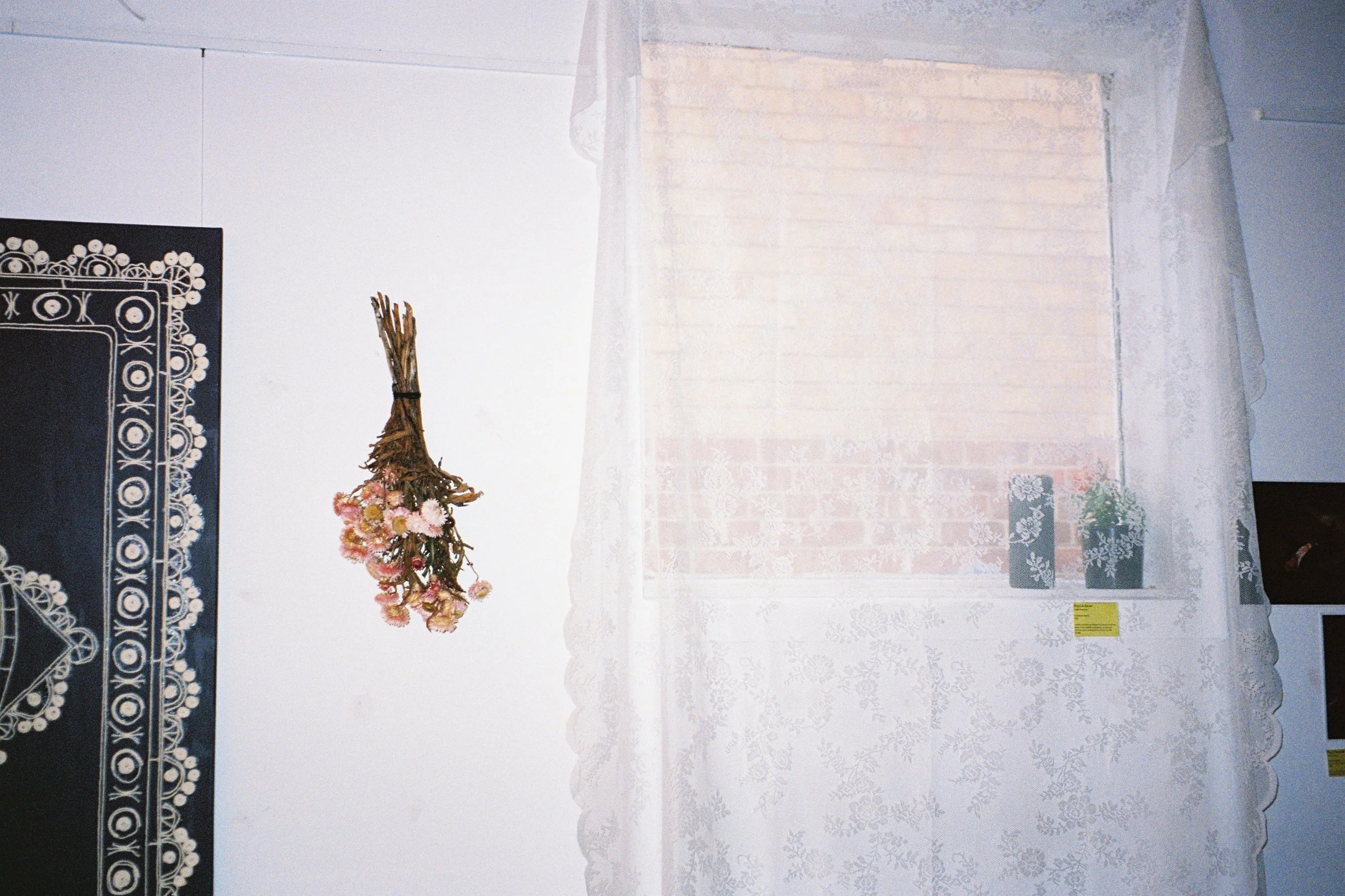 Photograph by Ayah Zakout