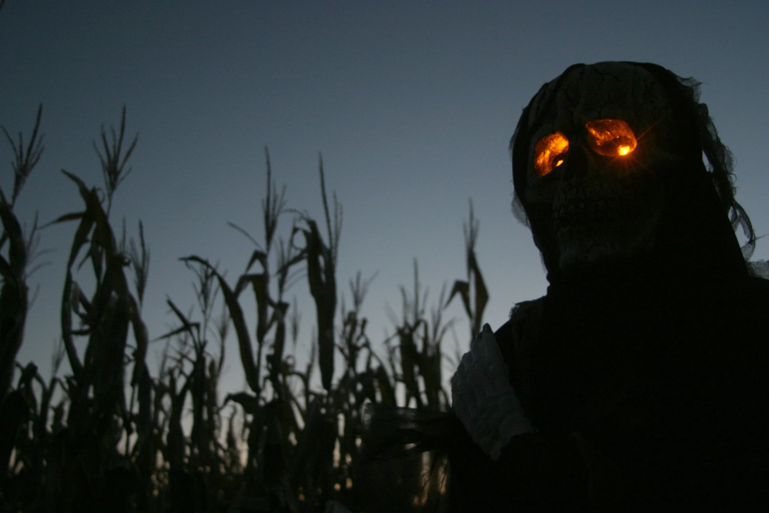 haunted-corn-maze_491623212_o.jpg