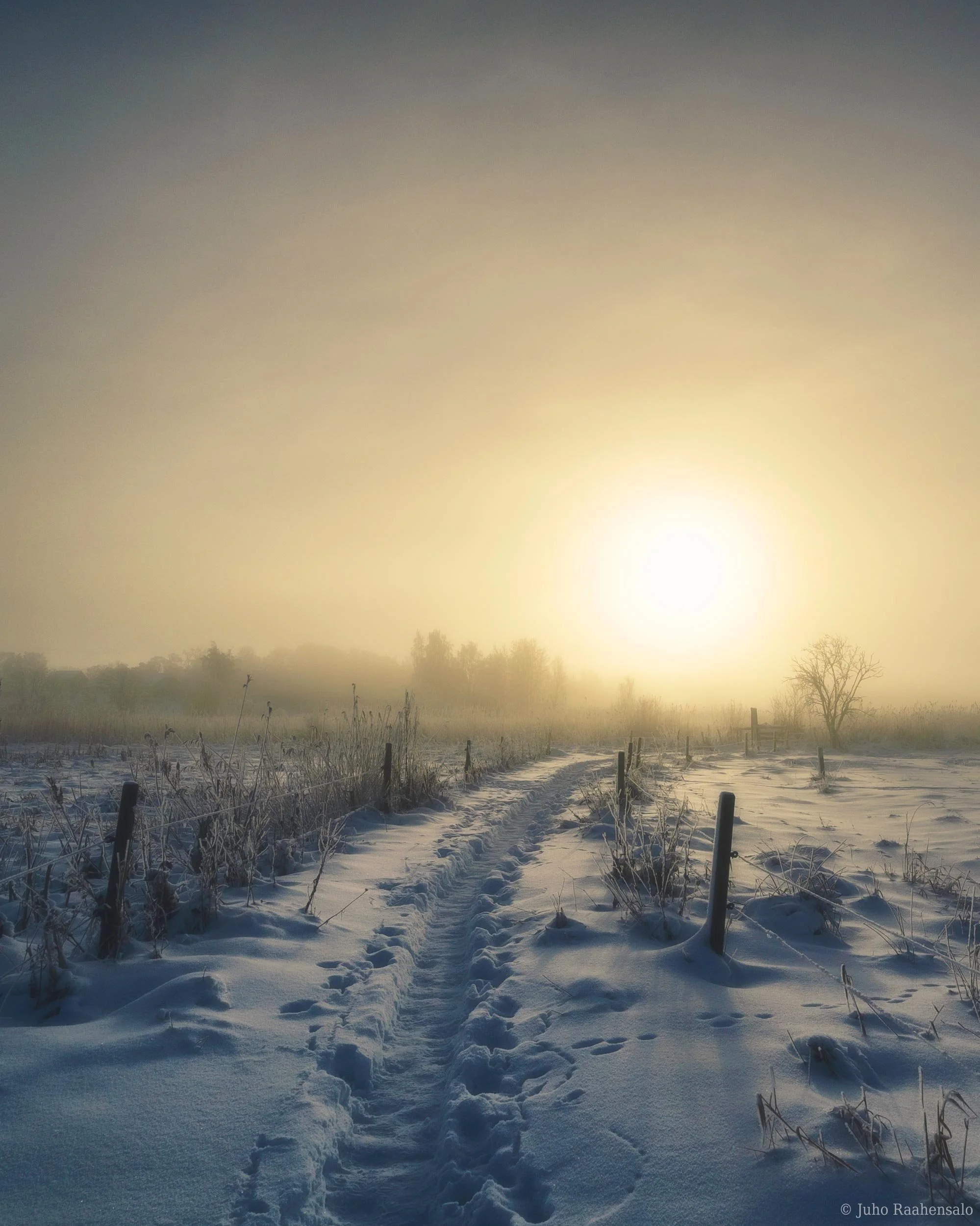 Sunny and foggy winter landscape