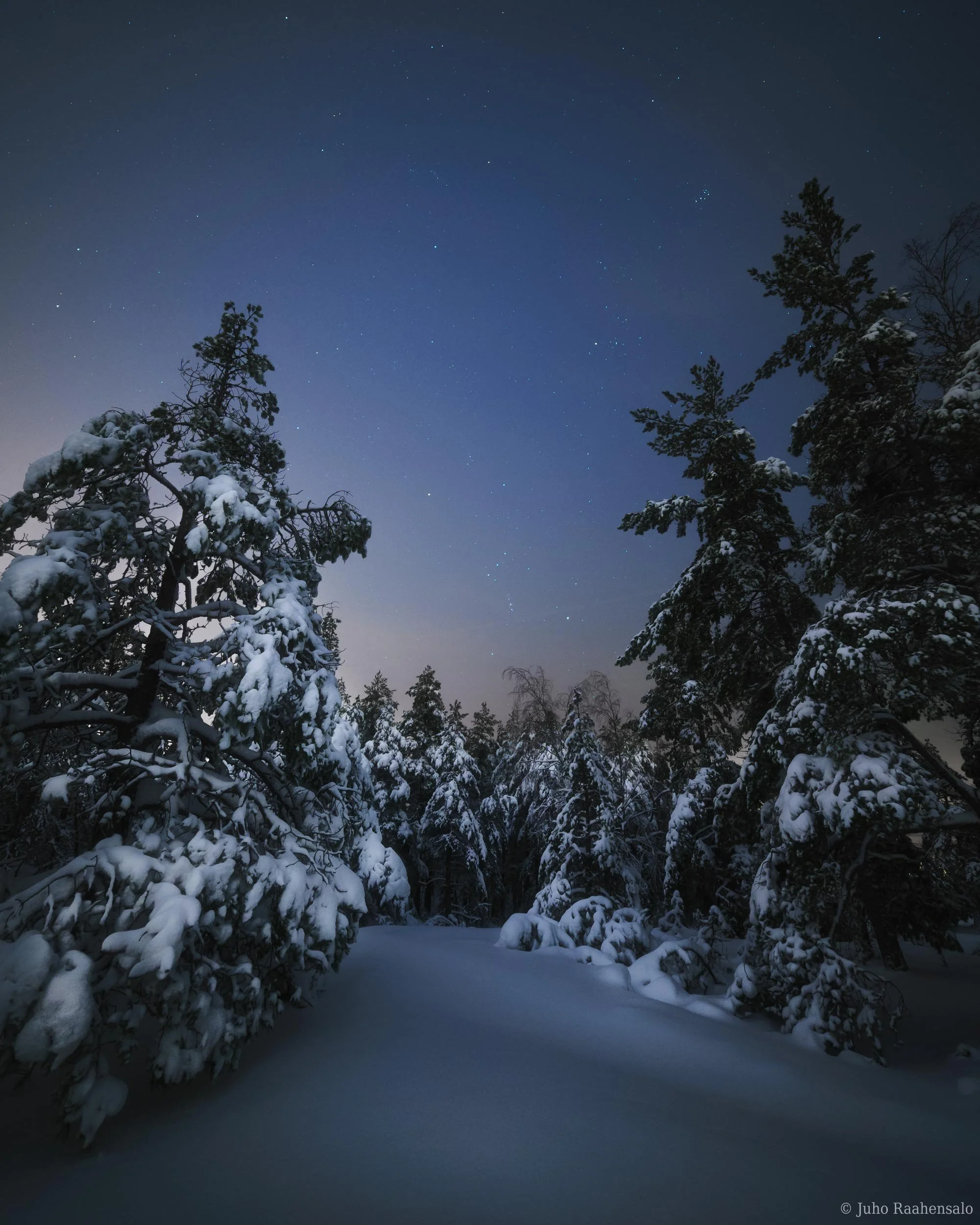 Starry winter landscape