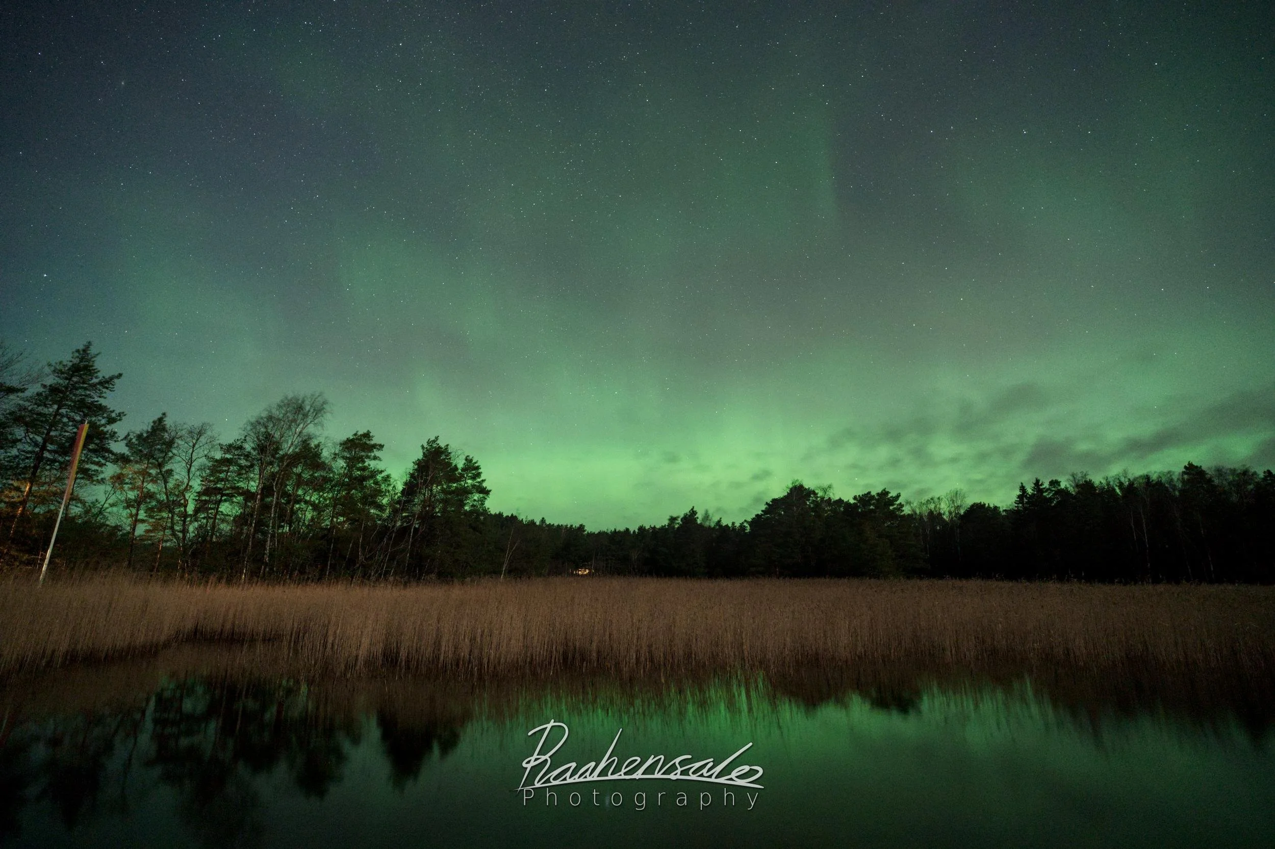 Northern lights reflecting from the calm sea in Nauvo, Turku archipelago 11.12.2025