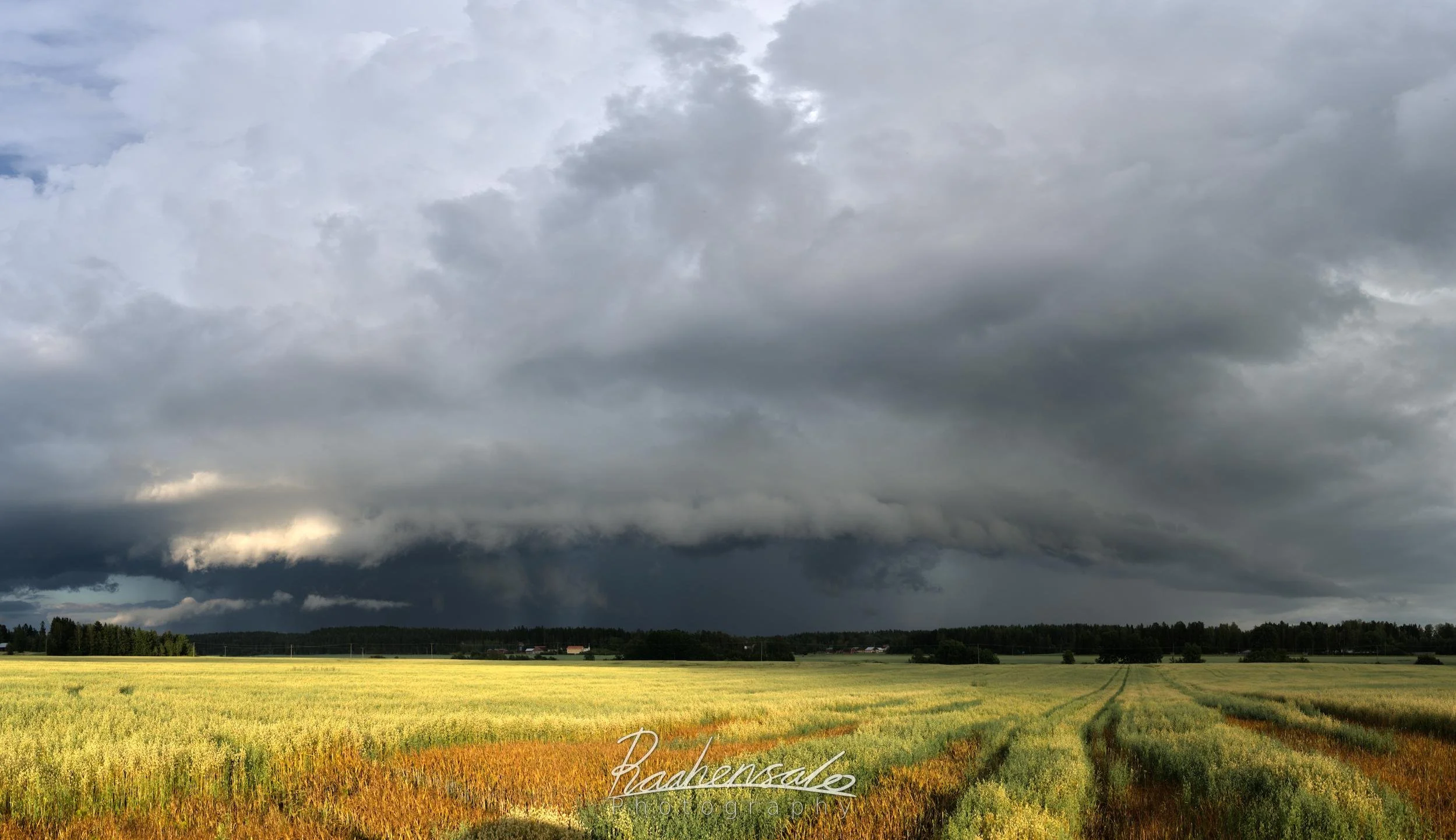 Shelf cloud over field