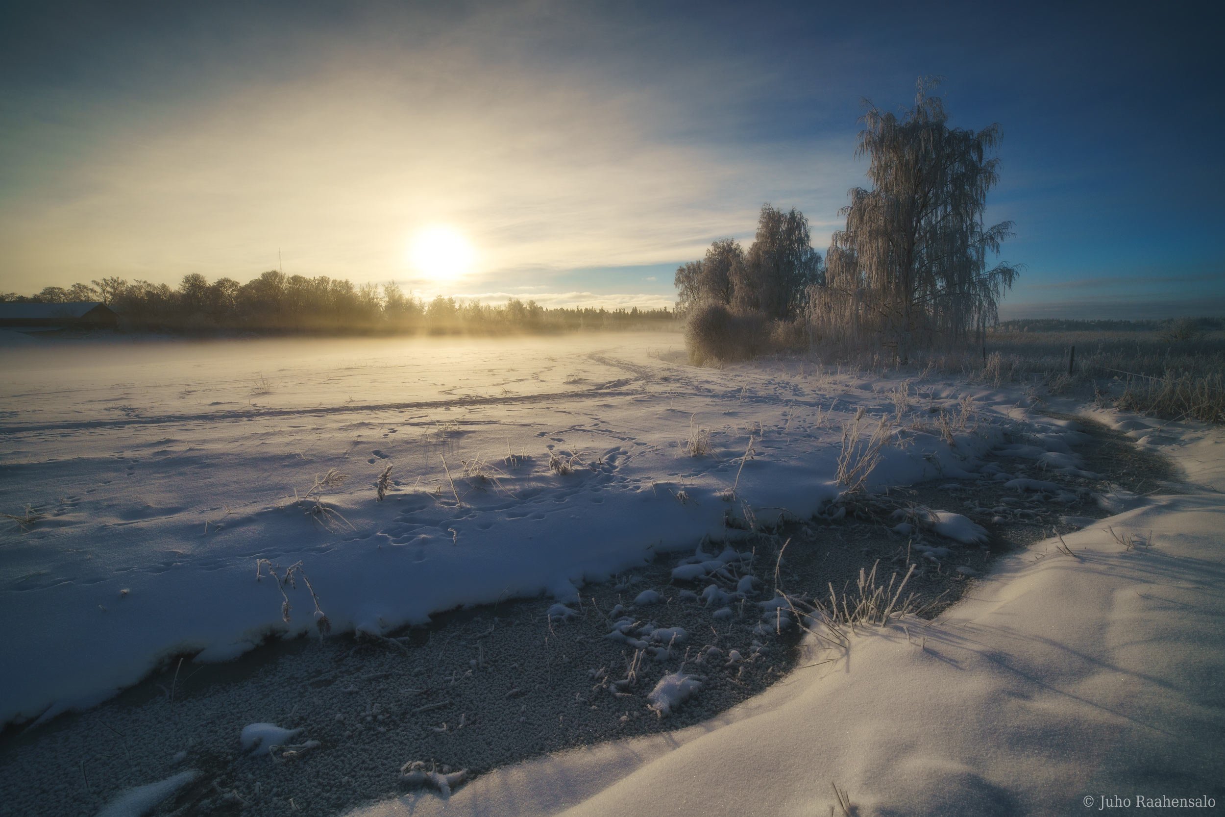 Sunny winter landscape
