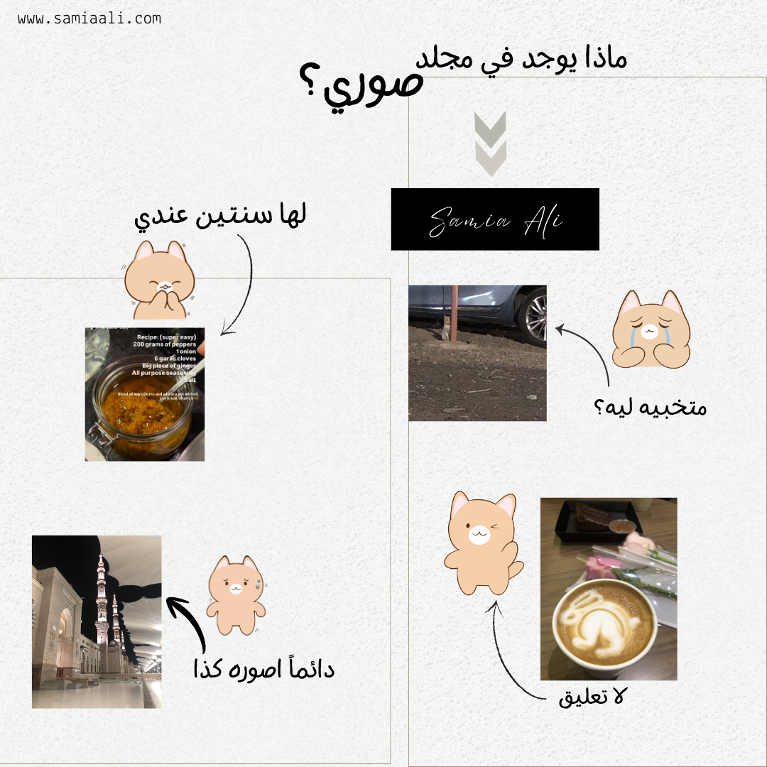 ماذا يوجد في مجلد صوري؟ِ🫣