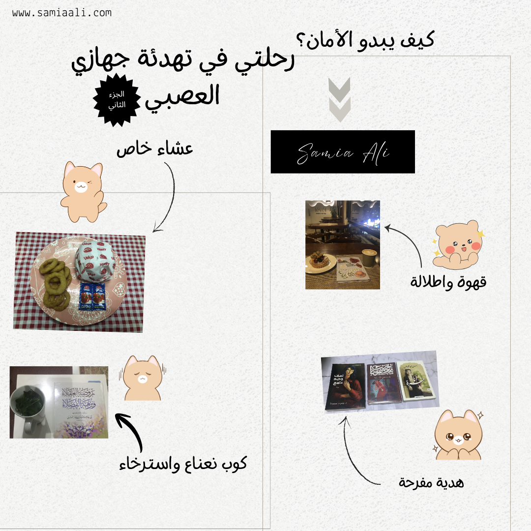 كيف يبدو الأمان ؟ |رحلتي في تهدئة جهازي العصبي الجزء الثاني