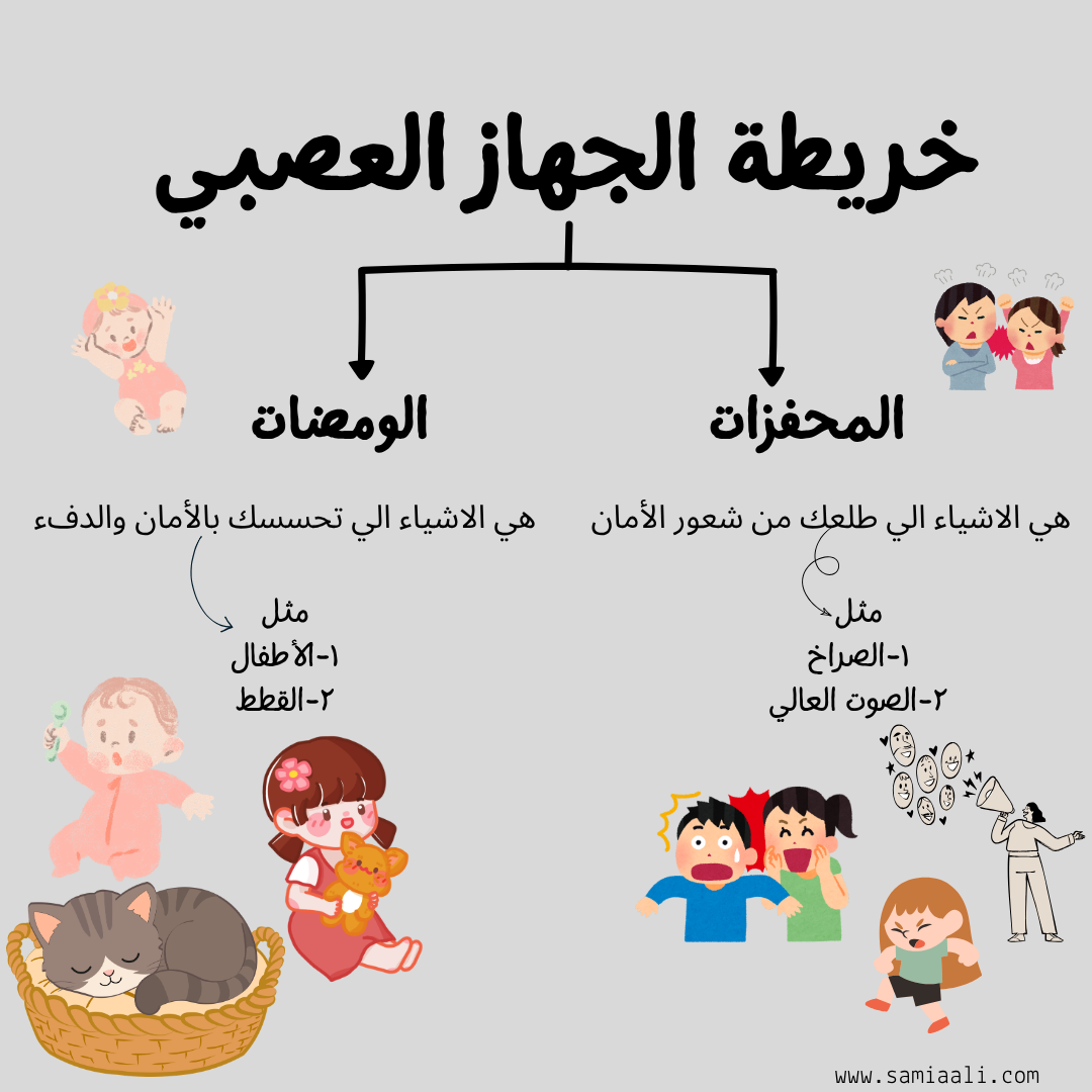 خريطة الجهاز العصبي