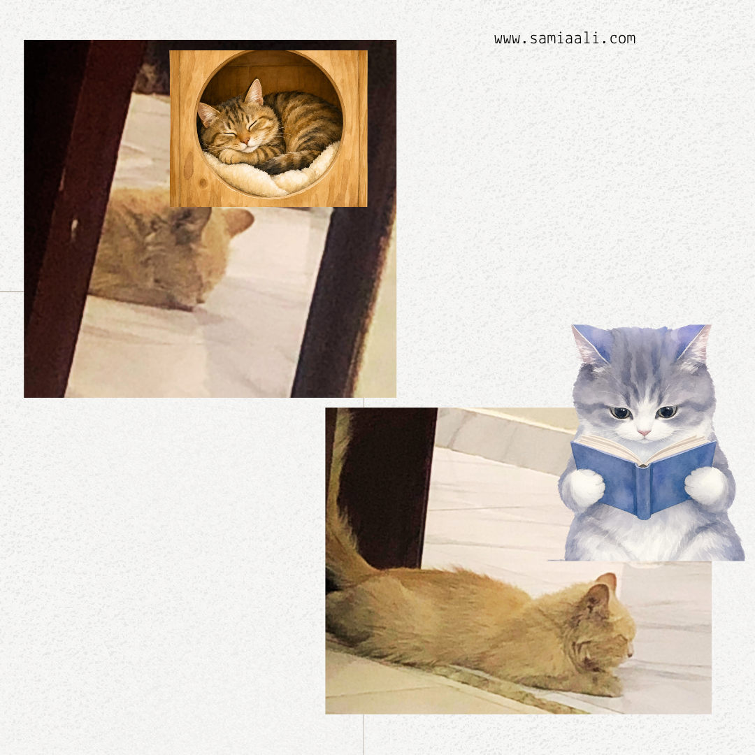 cat