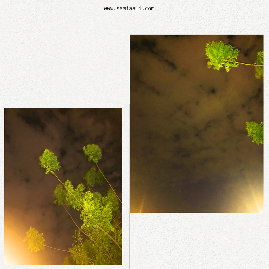 trees