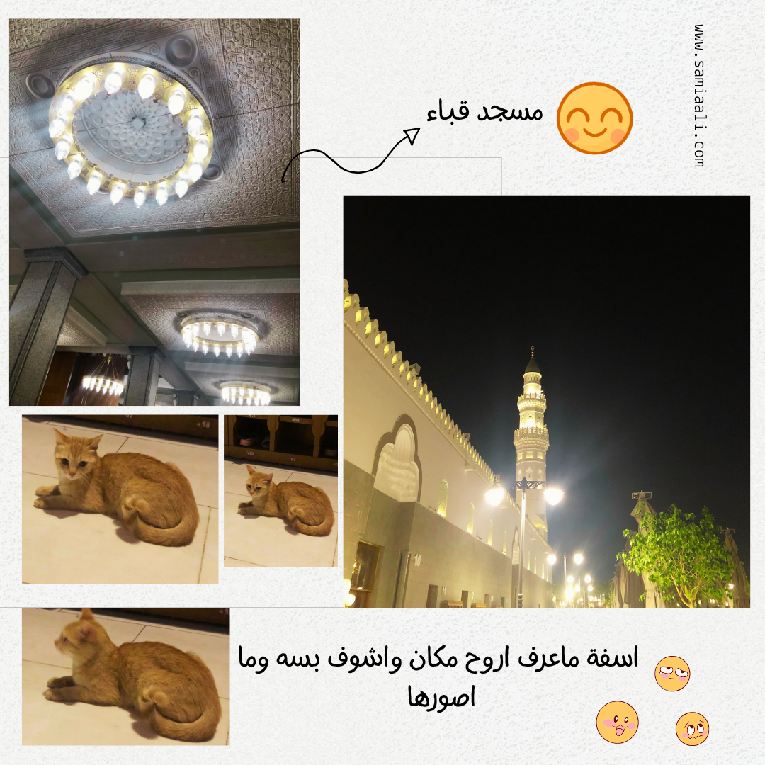 مسجد قباء وقطه