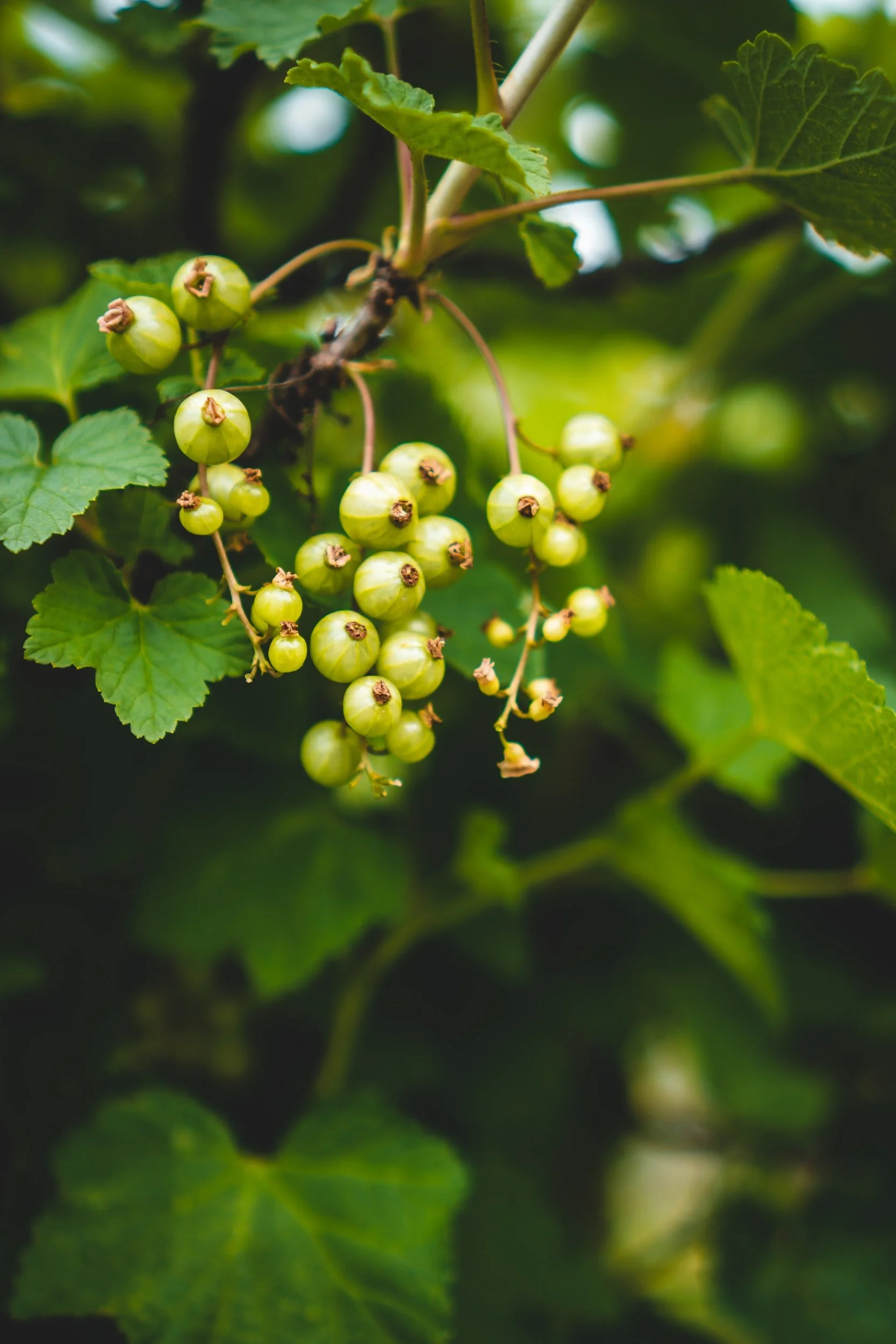 unsplash-image-o5tC-eLqS9c.jpg