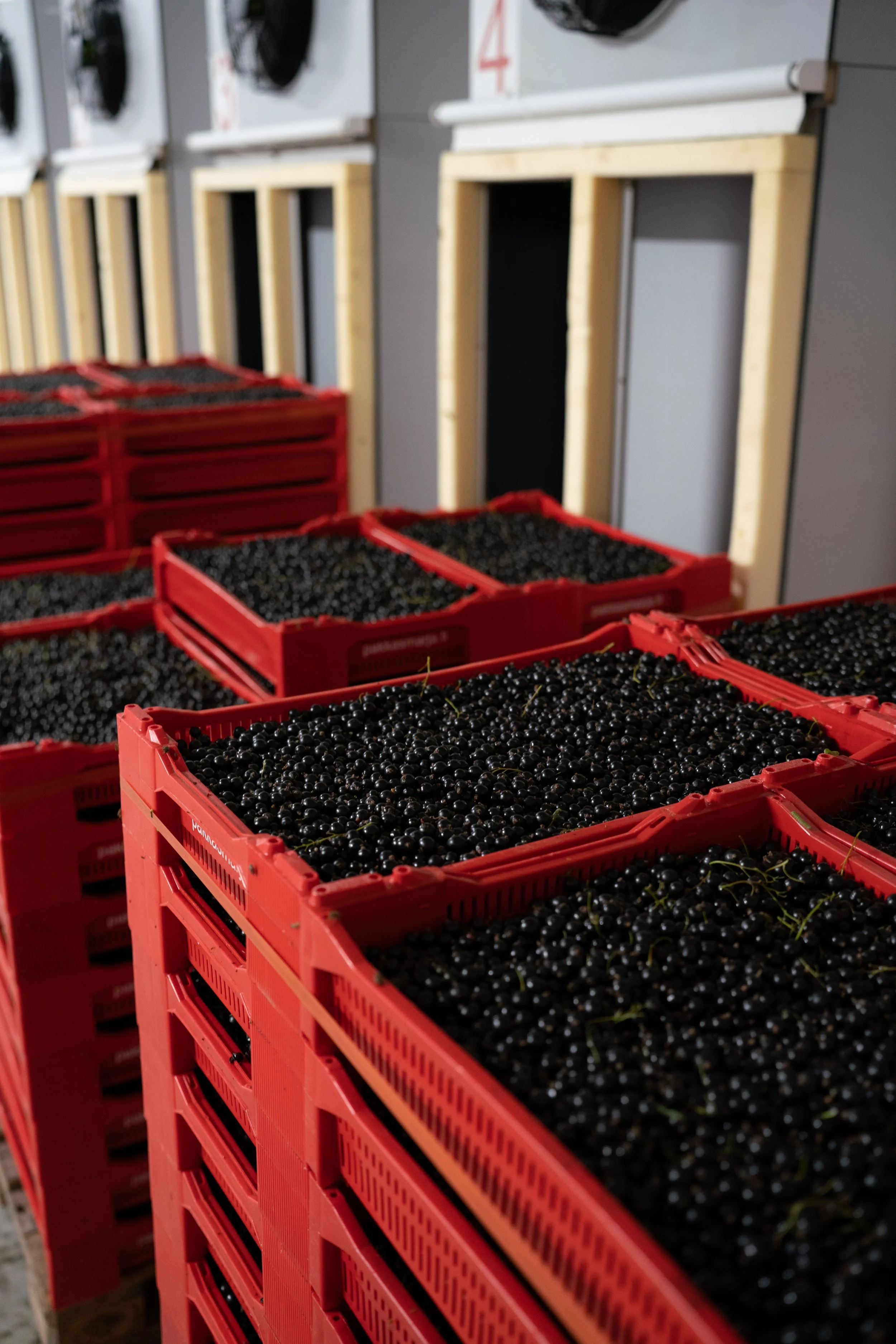 Kuvauspäivä 2-2.jpg