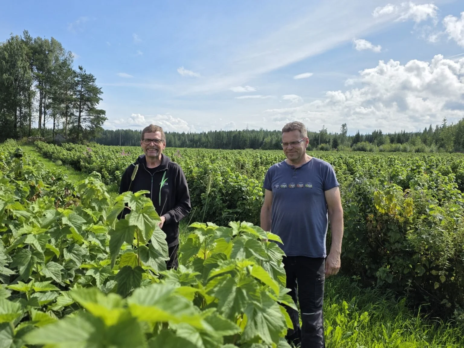 Kiteen Herukka Puutarha-Sanomissa!