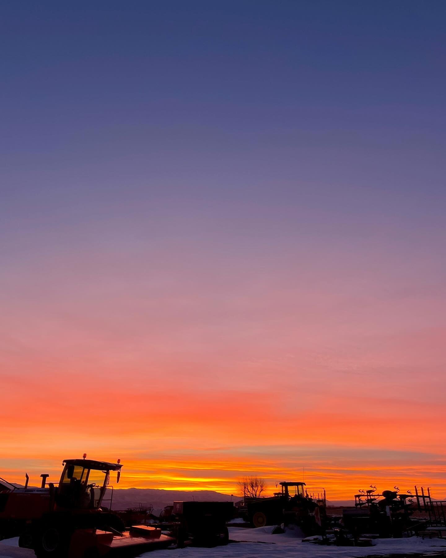 That PNW sunset : soothes a bit of that frostbite -toe numbing-mind blowing cold 🥶 

Right?

Alan : &ldquo;hell no Alison&rdquo;