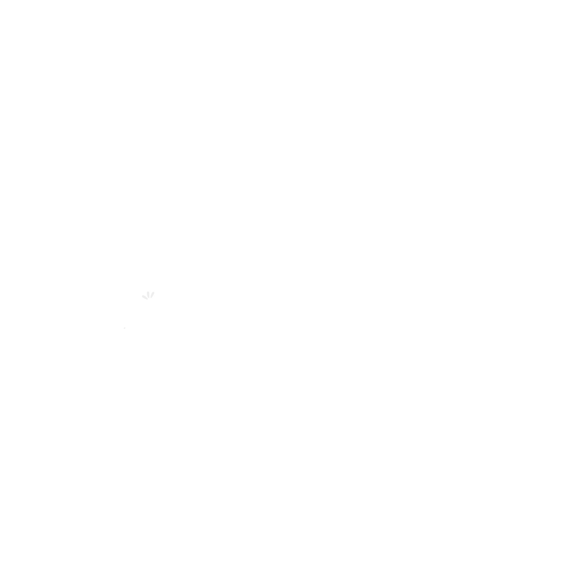 Sisu Design Studio_Grayscale Client Logos_White_Lumi and Coco.png