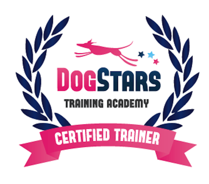 dog-stars-academy.png