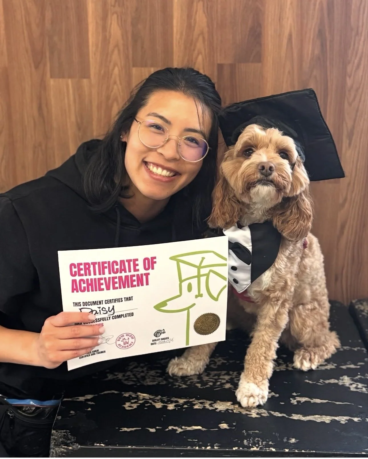 Daisy the dog with owner