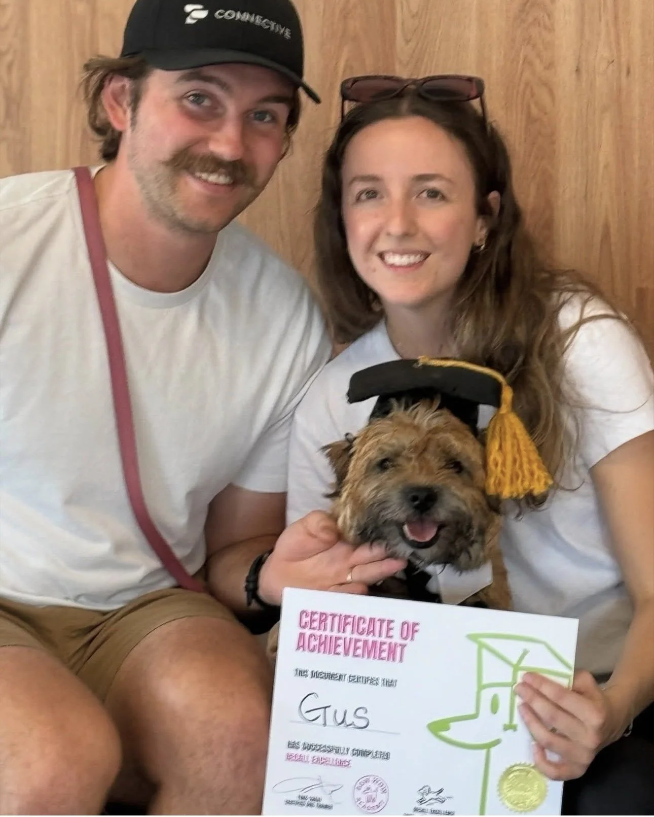 gus dog graduation cap and diploma