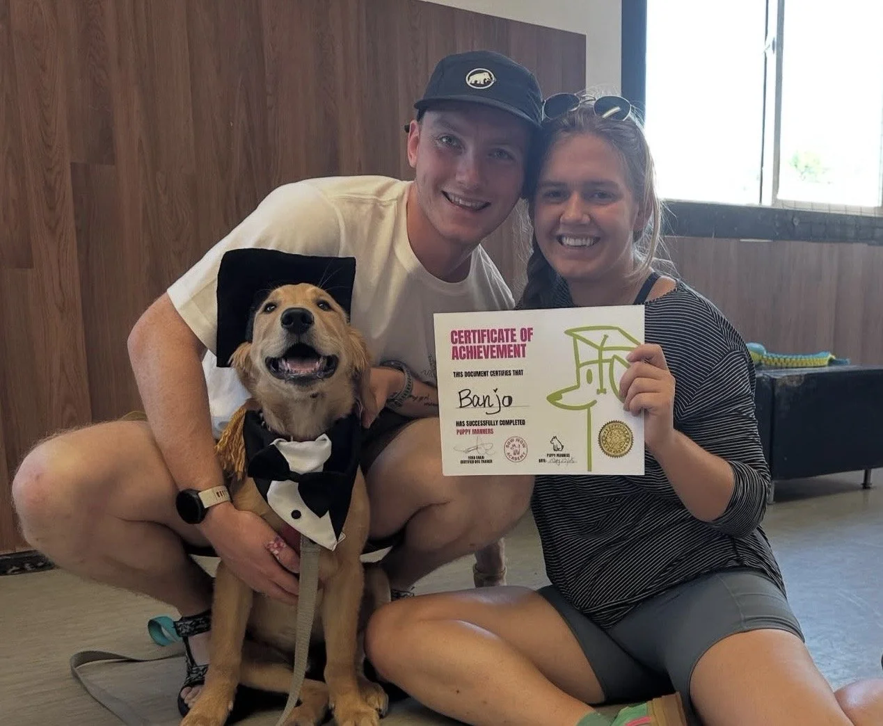 Banjo dog training diploma north vancouver