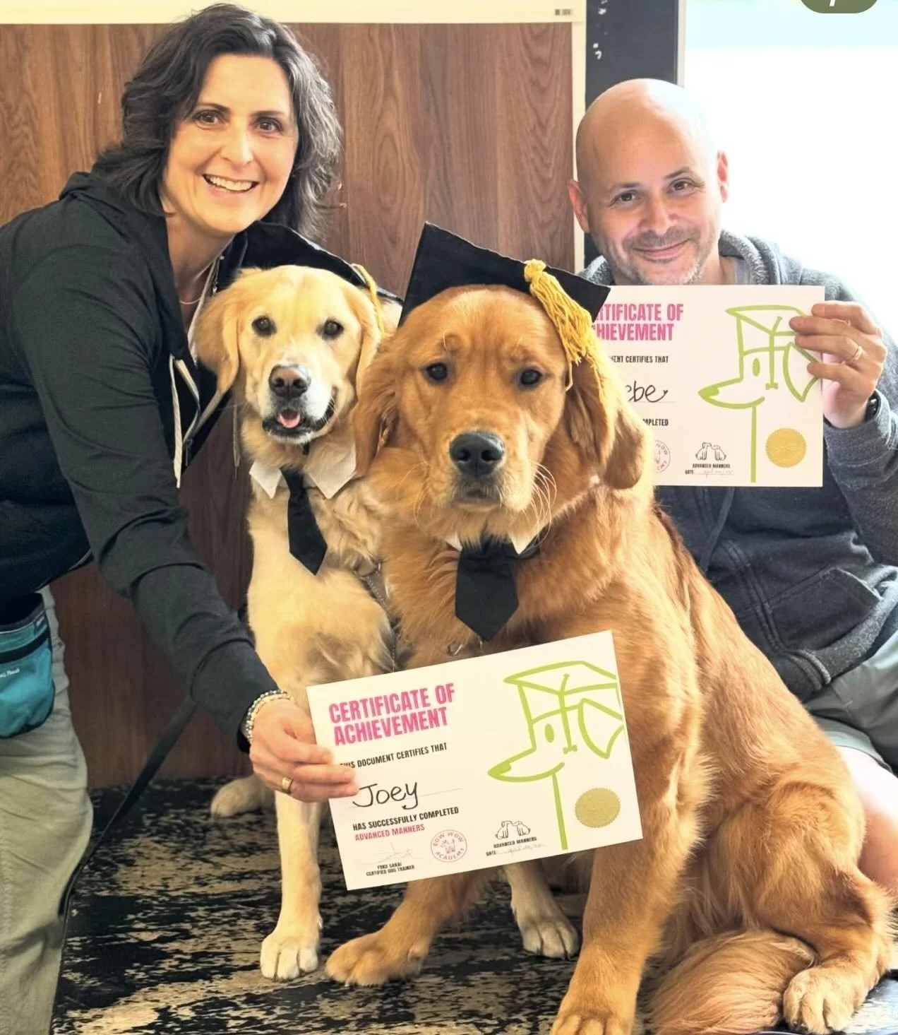 dog manners graduate