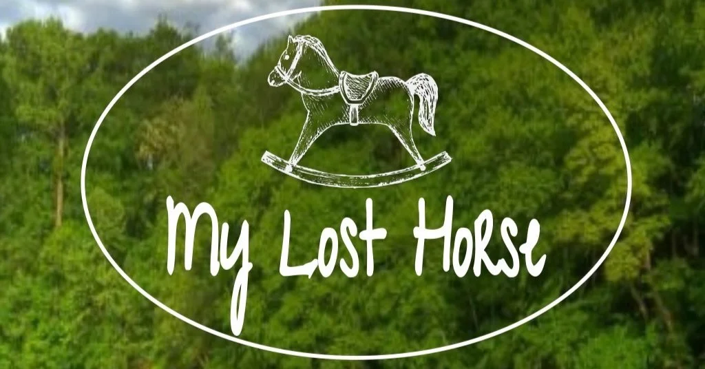 Welcome back, @mylosthorse!

Catch this fantastic duo featuring guitar, vocals, and a wee bit of harmonica covering an awesome mix of &lsquo;80s and &lsquo;90s hits plus a few fun outliers!

Image courtesy of the band.