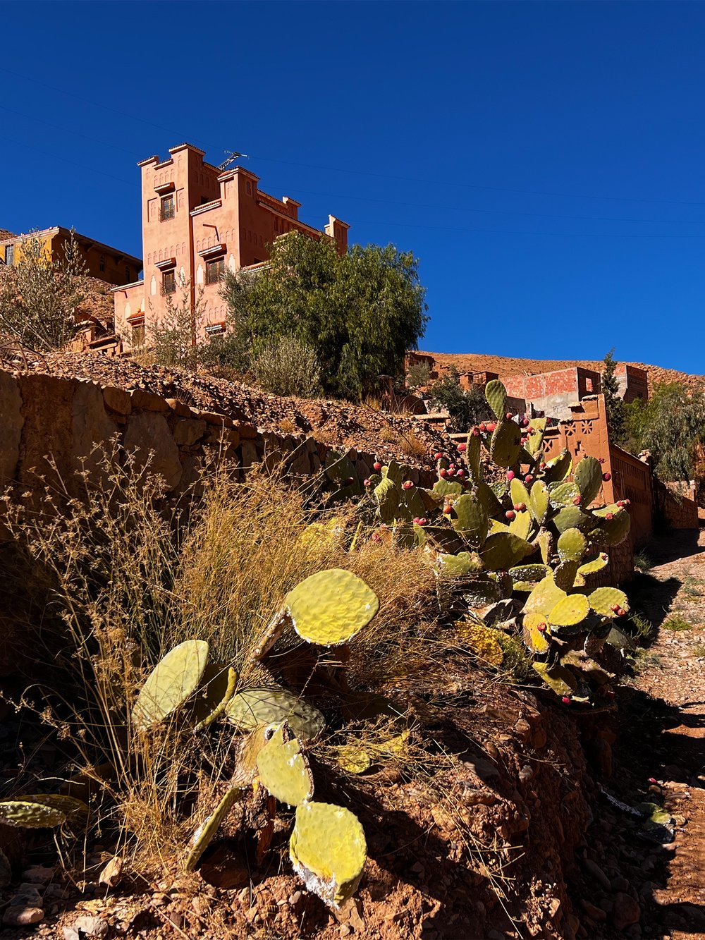Vilaage-in-the-Dades-Gorge-Morocco.jpg