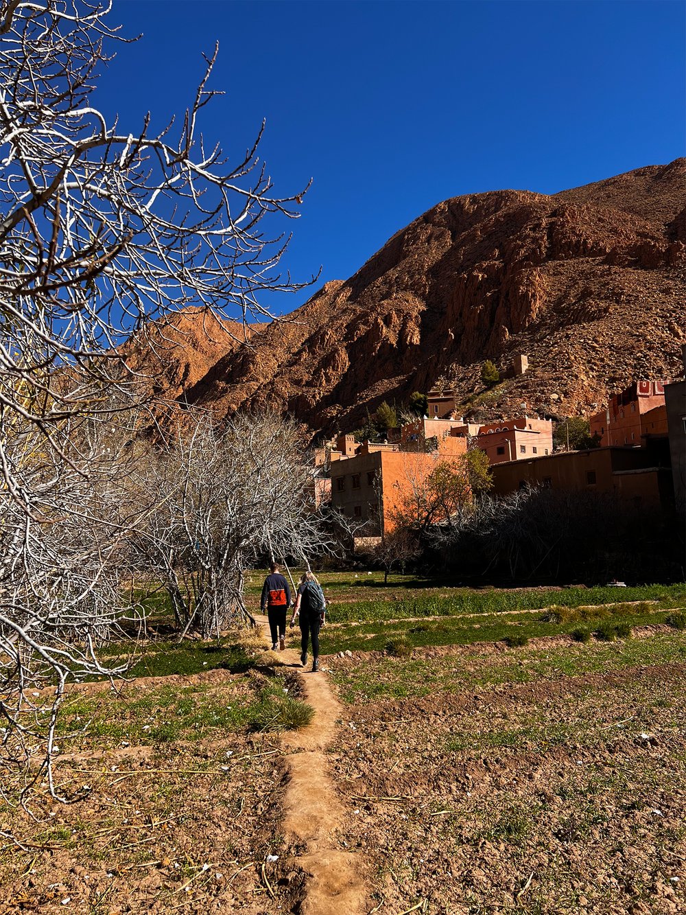 Trekking-in-the-Dades-Gorge-Morocco.jpg