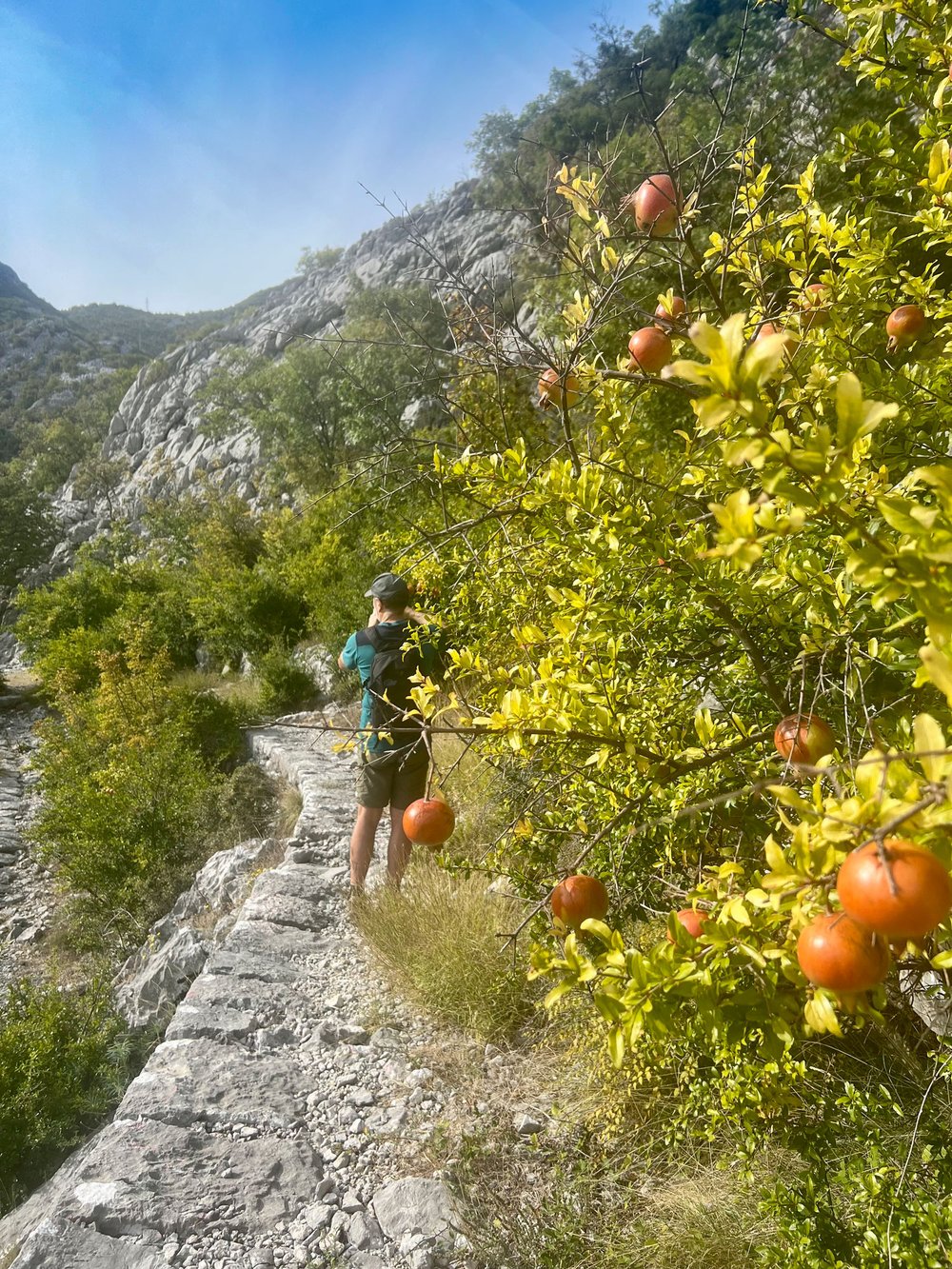 Hiking-Kotor-Bay-Montenegro