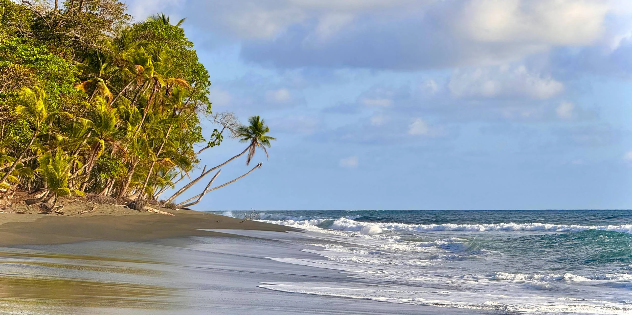 Costa Rica: off the beaten track on the wild South Pacific coast