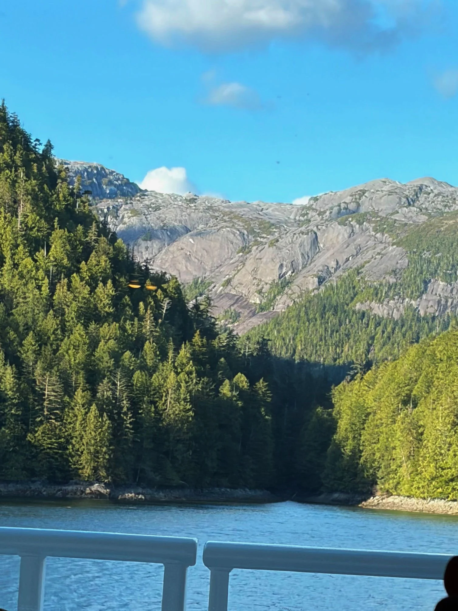 Alaska from the MV Kennicott ferry