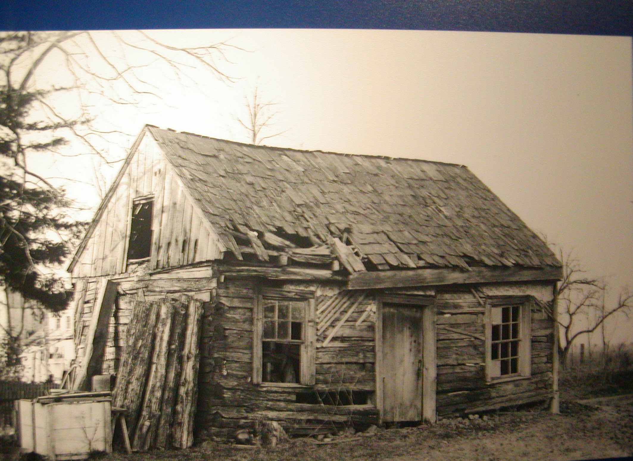 Near History: Weaving from 1876 to 1976