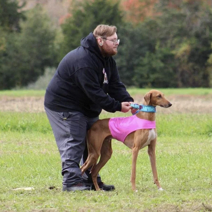 A man with glasses and a beard is holding a brown dog wearing a pink vest and a blue collar in an outdoor grassy area with trees in the background.