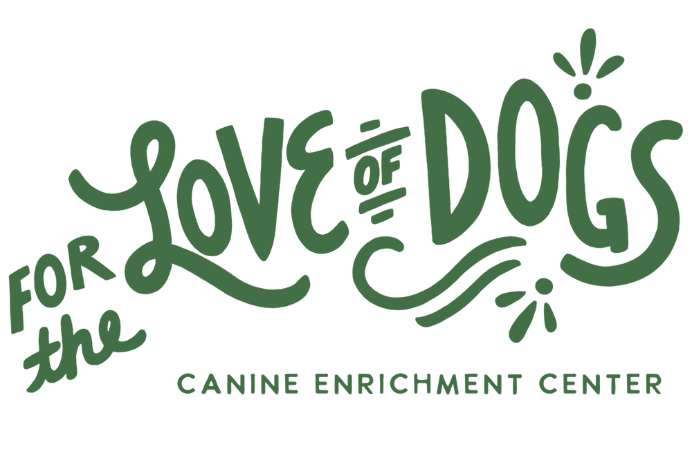 Dog Day Camp | Lincoln, RI — For the Love of Dogs