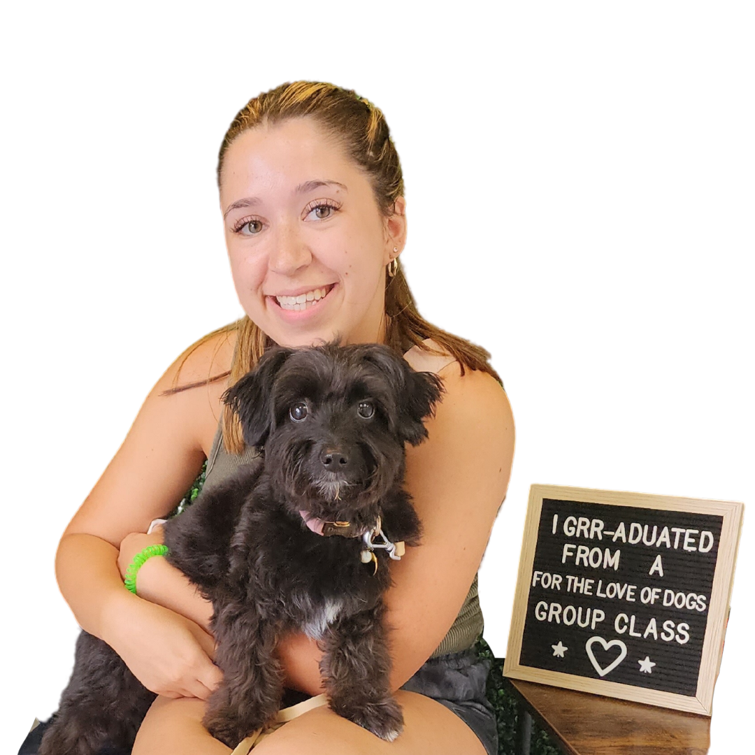 Dog Training Group Classes Lincoln RI For The Love Of Dogs dog-training-group-classes-lincoln-ri-for-the-love-of-dogs