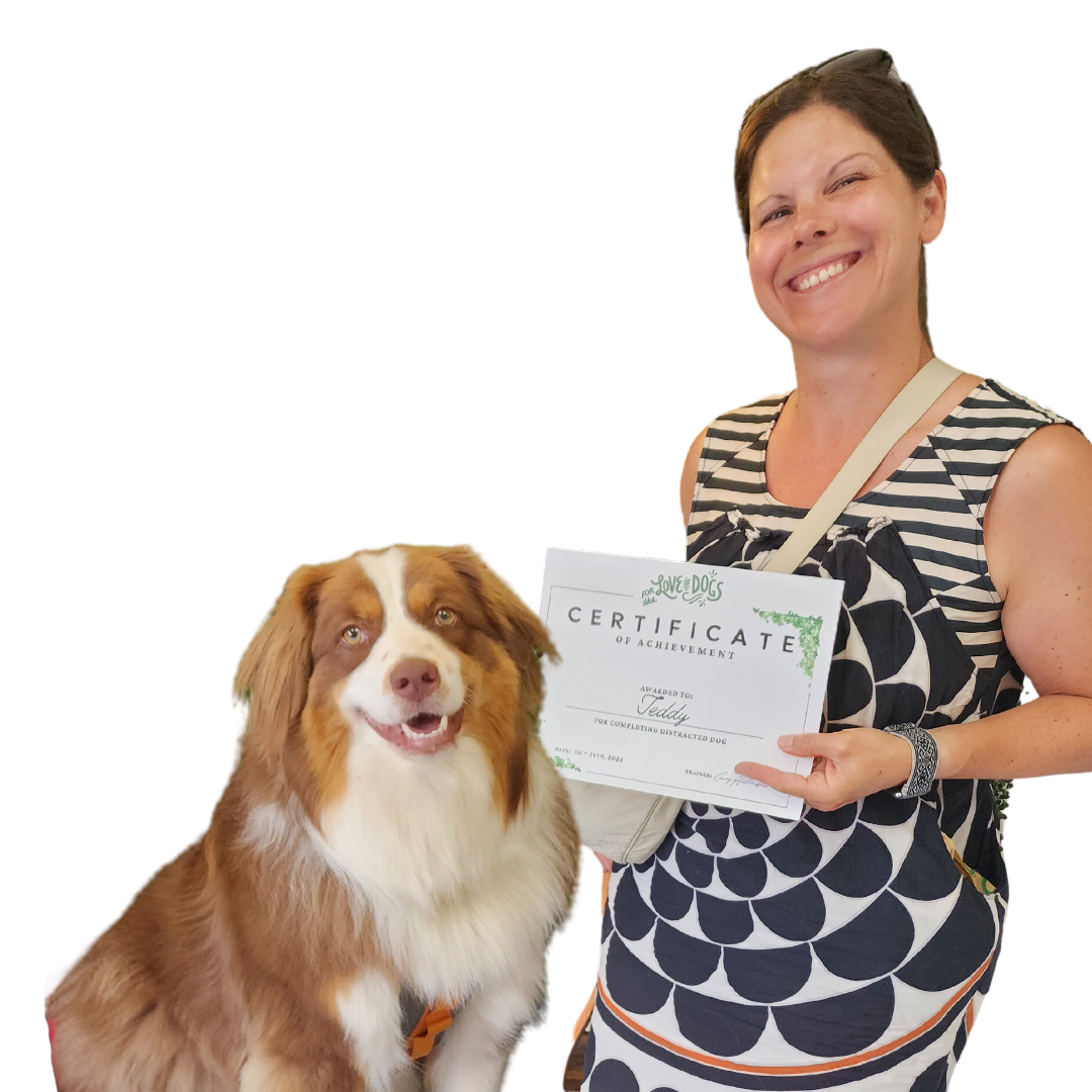 Dog Training Group Classes Lincoln, RI — For the Love of Dogs