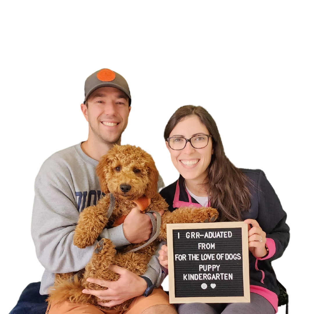 Dog Training Group Classes Lincoln, RI — For the Love of Dogs