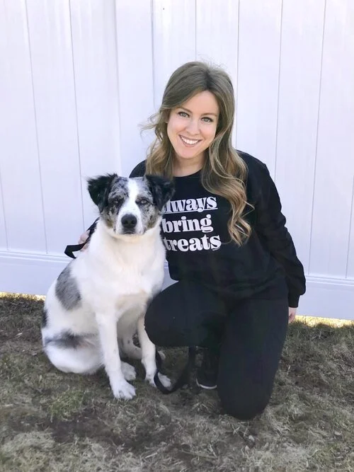 dog trainer in rhode island