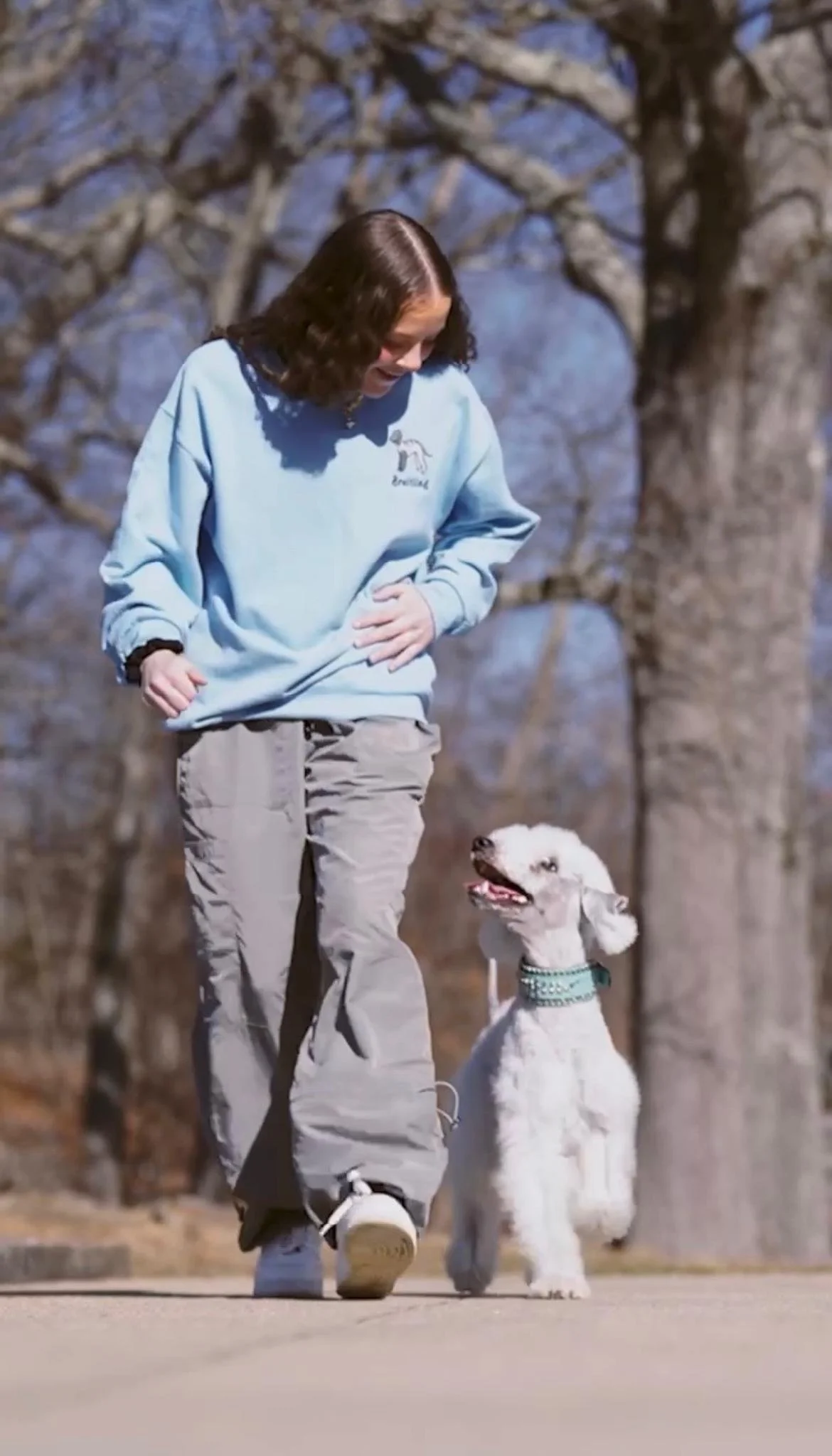 dog trainer in rhode island