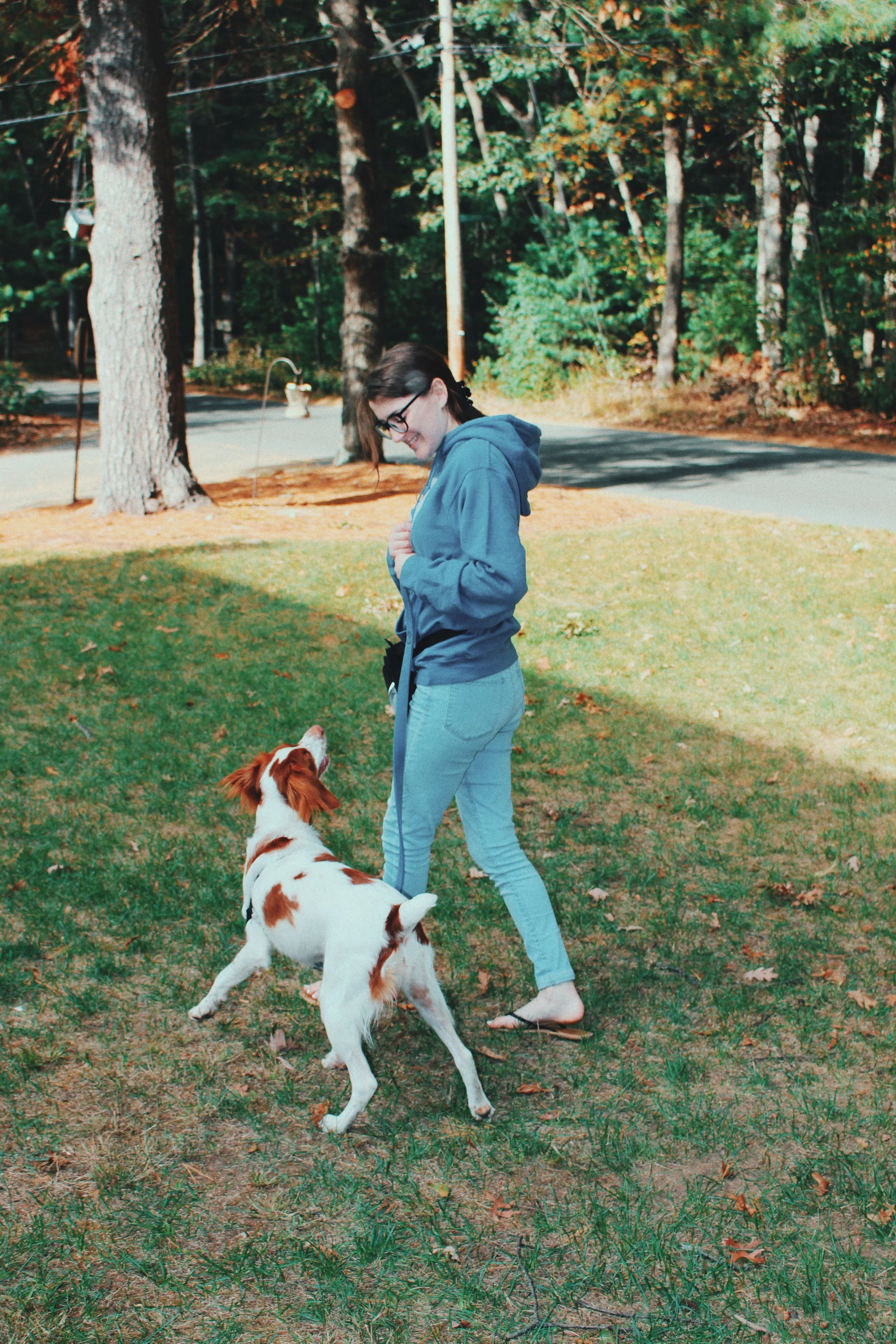 dog-training-group-classes-lincoln-ri-for-the-love-of-dogs