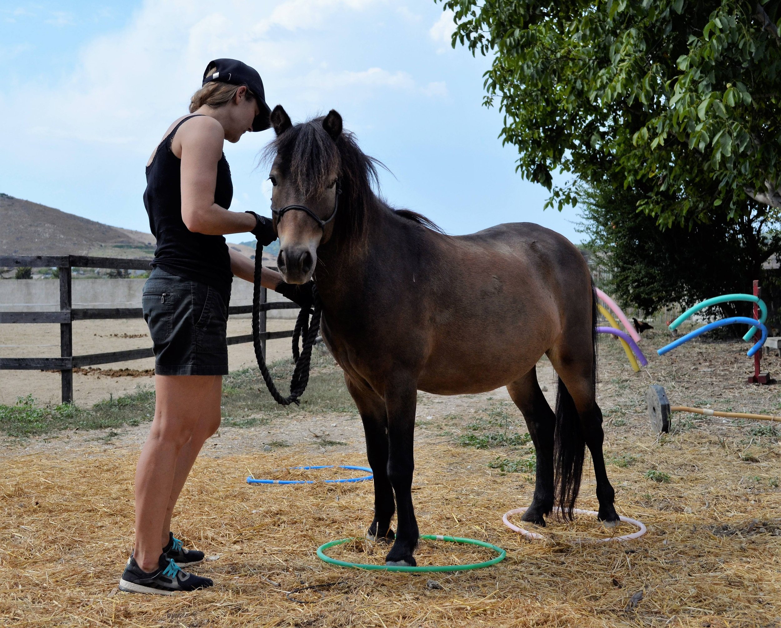 Proprioception Online Course April / May 2026